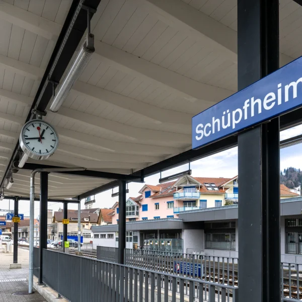 Neubau Perrondach Schüpfheim